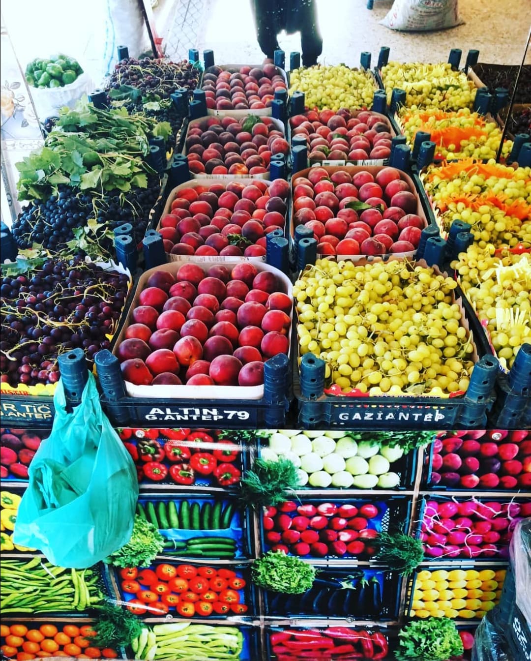 Öz Bakır Manav & Market